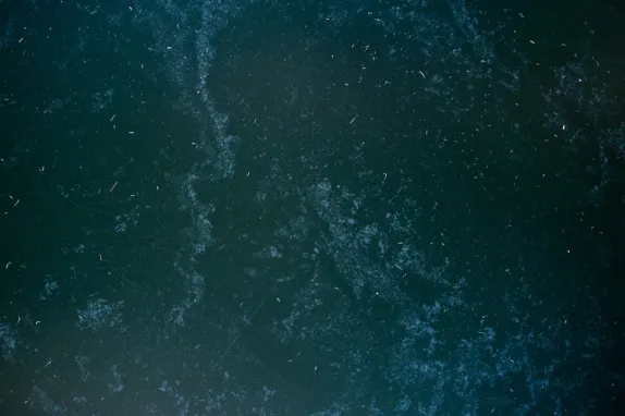 Tournaverse Casino Support